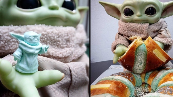 Photo Gallery BABY ROSCA 